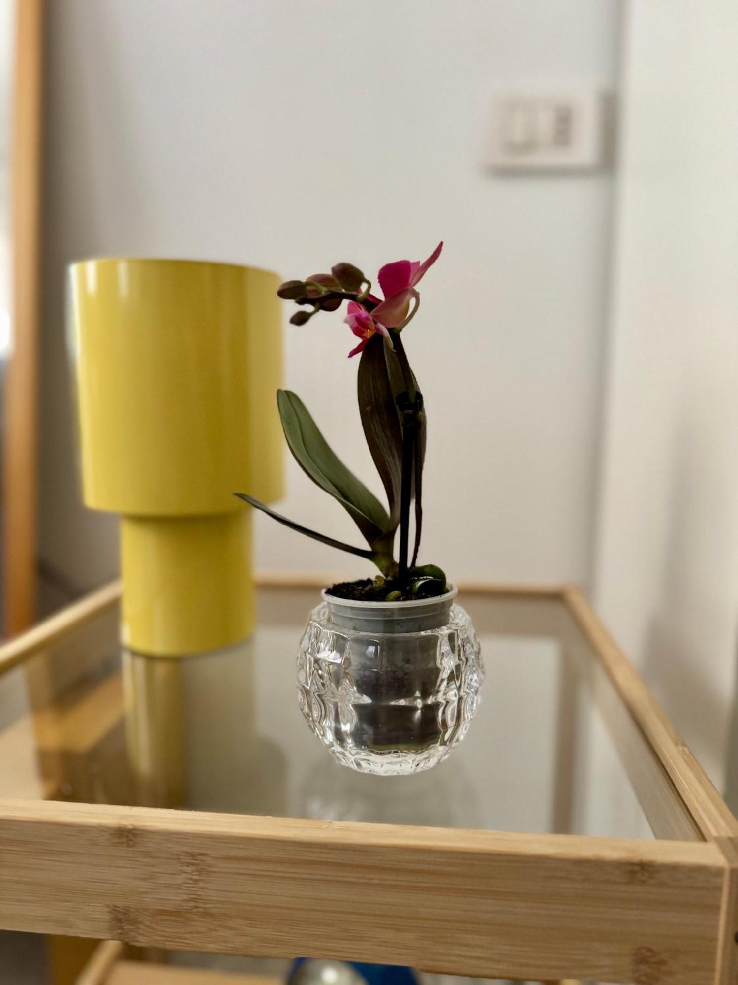 Apartamento Platano By Monteverdi